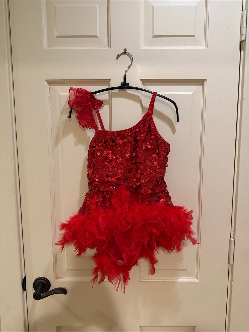 Red Sequin & Feather Girls Dance Costume